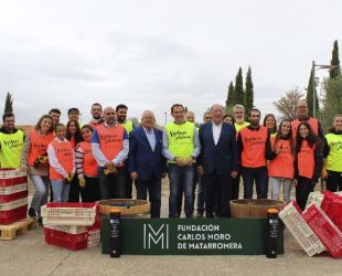 Vendimia solidaria